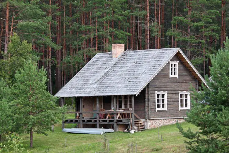 drewniany domek letniskowy wśród drzew