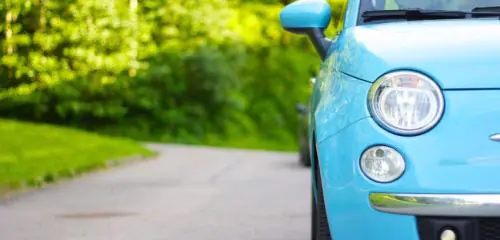 błękitny fiat 500 na tle zielonego lasu