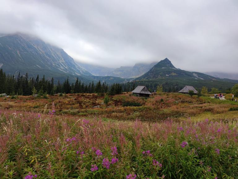 Hala Gąsienicowa, Tatry, widok na góry i chatkę w tle