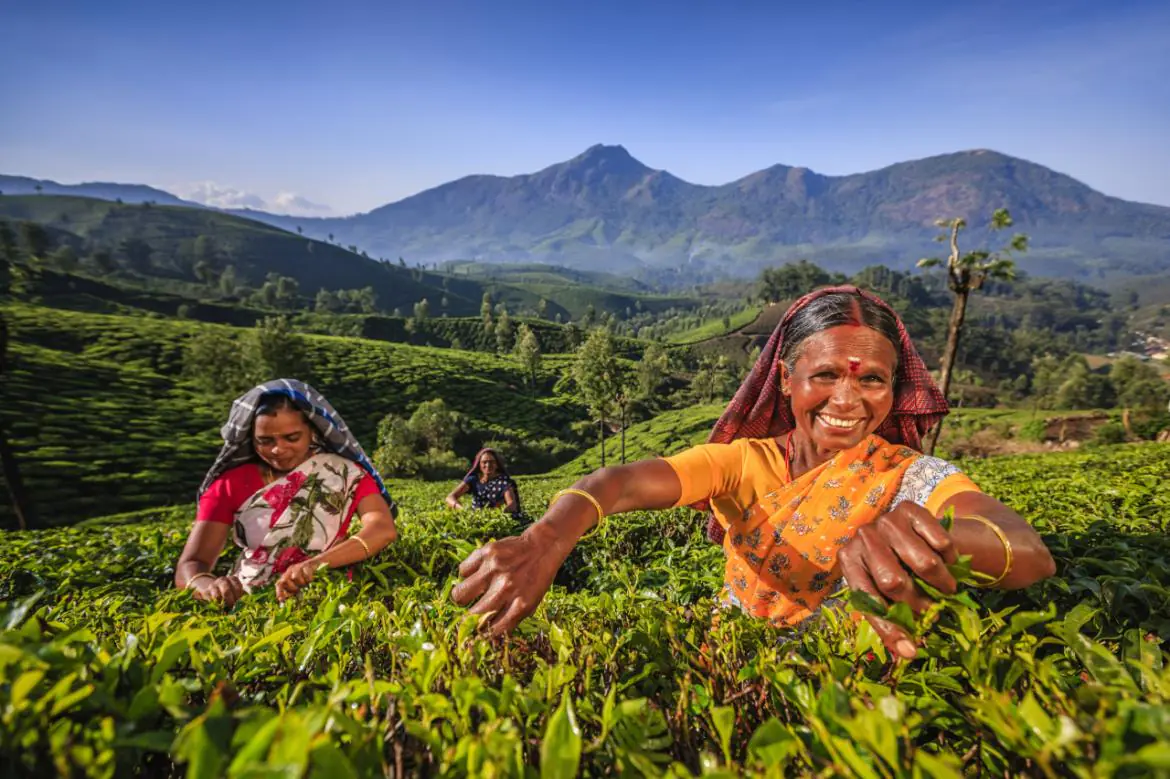 krajobraz Indii, na pierwszym planie hinduskie kobiety