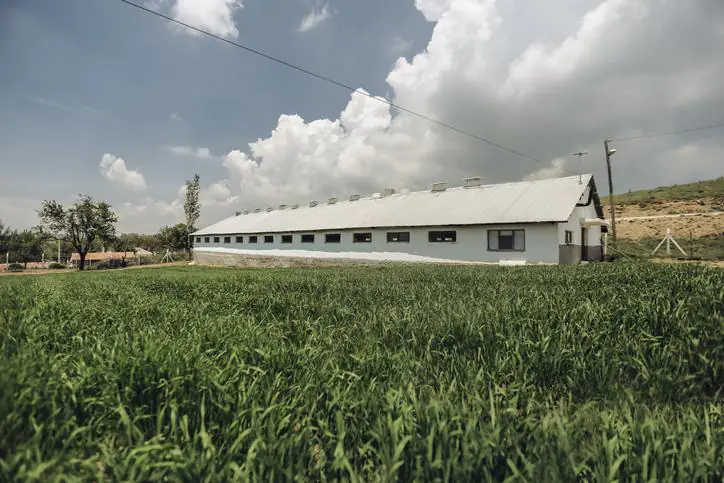 drewniany budynek na narzędzia