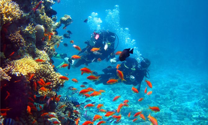 Poznaj 4 najbardziej inspirujące miejsca do nurkowania na świecie. 2-tygodniowy pobyt kosztuje nawet 64 000 zł