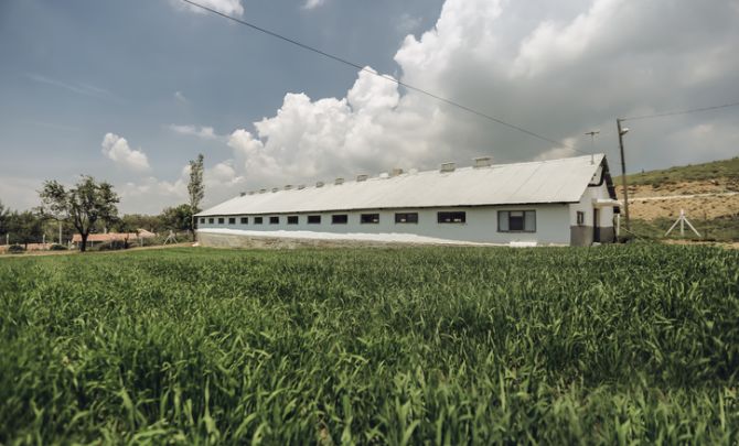 drewniany budynek na narzędzia