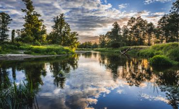 las na Mazowszu, dolina rzeki Liwiec