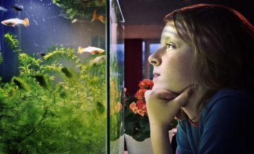 chłopiec obserwuje rybki w akwarium