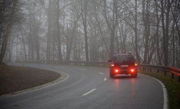 samochód jadący w mglistych warunkach przez las