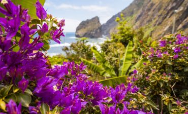 Madera, widok na morze z kwiatami na pierwszym planie