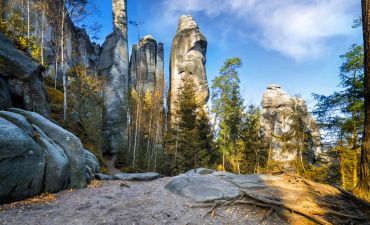 Skalne Miasto, Czechy, widok na formacje skalne na tle nieba i drzew