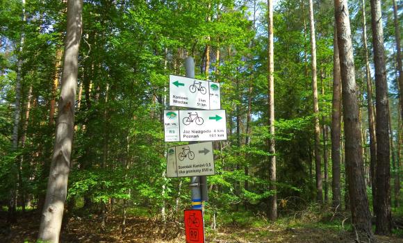 Trasy rowerowe w Polsce - gdzie wybrać się na rower i z jakim ubezpieczeniem?