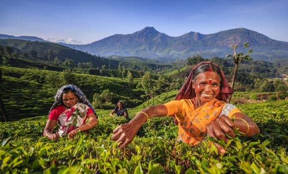 Jakie szczepienia do Indii wykonać przed podróżą?